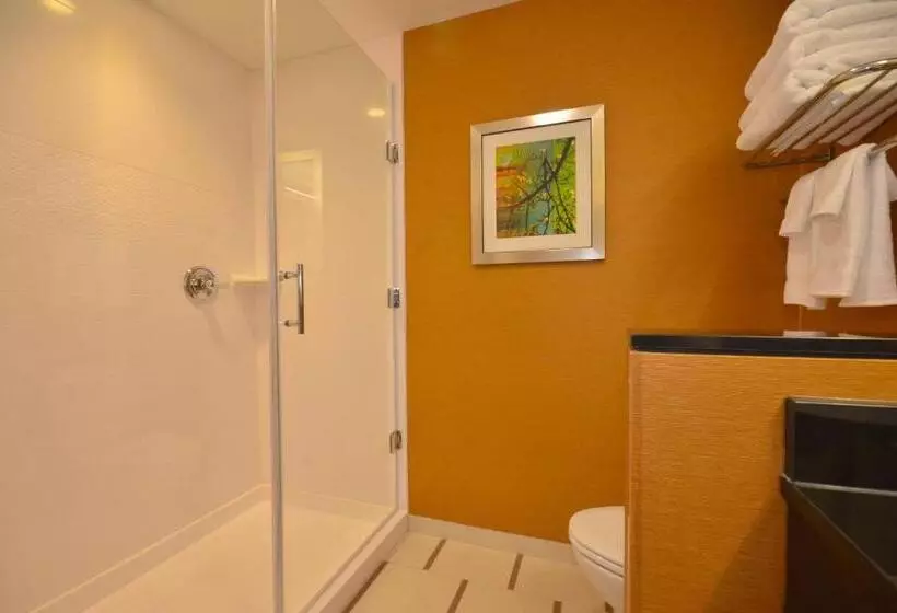 キングサイズベッドのスタンダードルーム, Fairfield Inn & Suites By Marriott St. Louis Pontoon Beach/granite City, Il