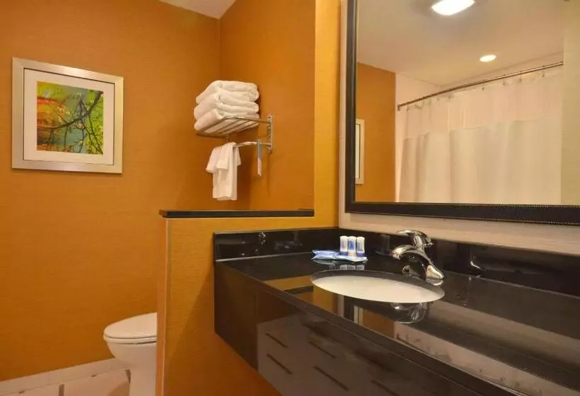 スタンダードルーム, Fairfield Inn & Suites By Marriott St. Louis Pontoon Beach/granite City, Il