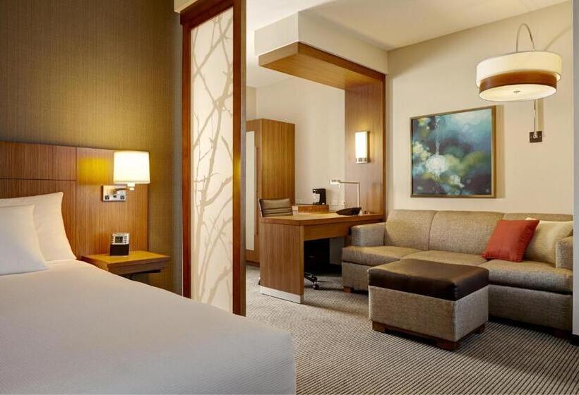 스탠다드 룸 킹사이즈 침대, Hyatt Place Boulder/pearl Street