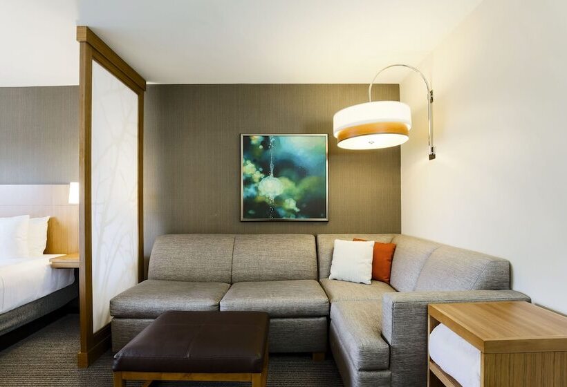 스탠다드 룸, Hyatt Place Boulder/pearl Street