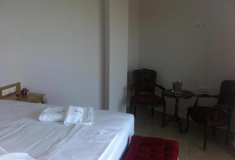 パノラミックビュースイート, Palatino