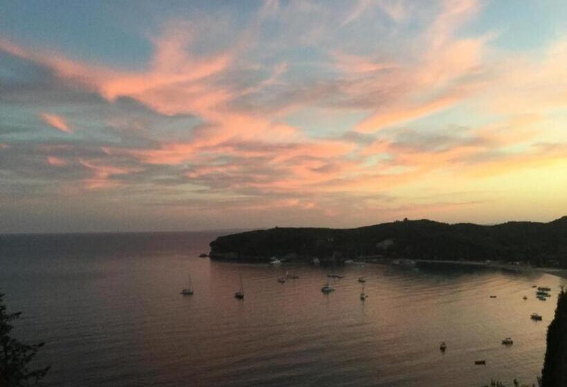 シティビューのデラックスルーム, Palatino