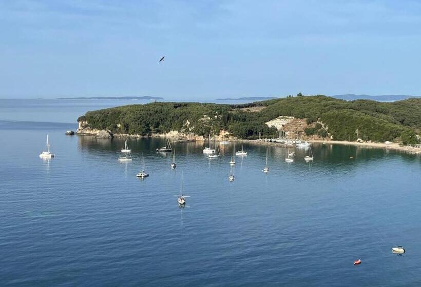 חדר דלוקס נוף לעיר, Palatino