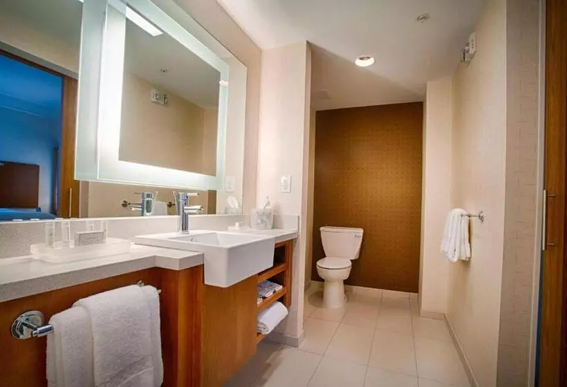 キングサイズベッドのスイートルーム, Springhill Suites By Marriott Canton