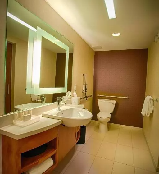 キングサイズベッドのスイートルーム, Springhill Suites By Marriott Canton