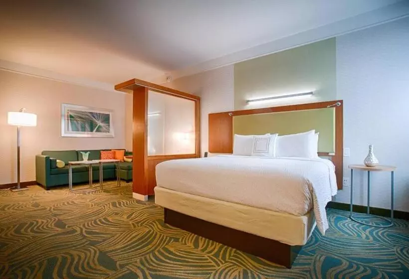 キングサイズベッドのスイートルーム, Springhill Suites By Marriott Canton