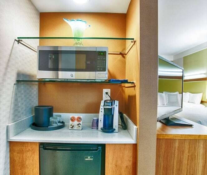 Люкс, Springhill Suites By Marriott Canton