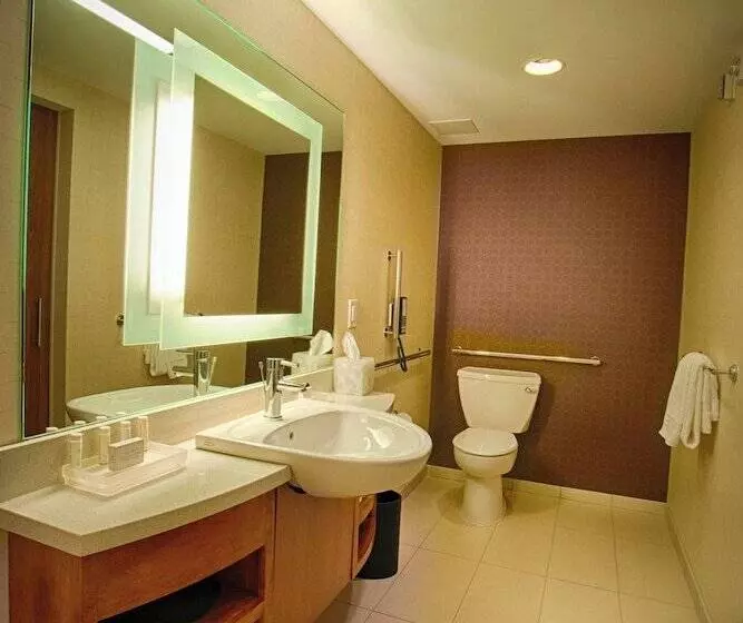 スイート, Springhill Suites By Marriott Canton