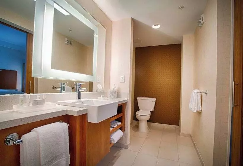 スイート, Springhill Suites By Marriott Canton
