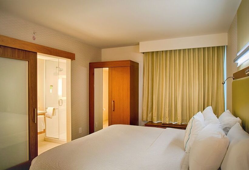 Люкс, Springhill Suites By Marriott Canton