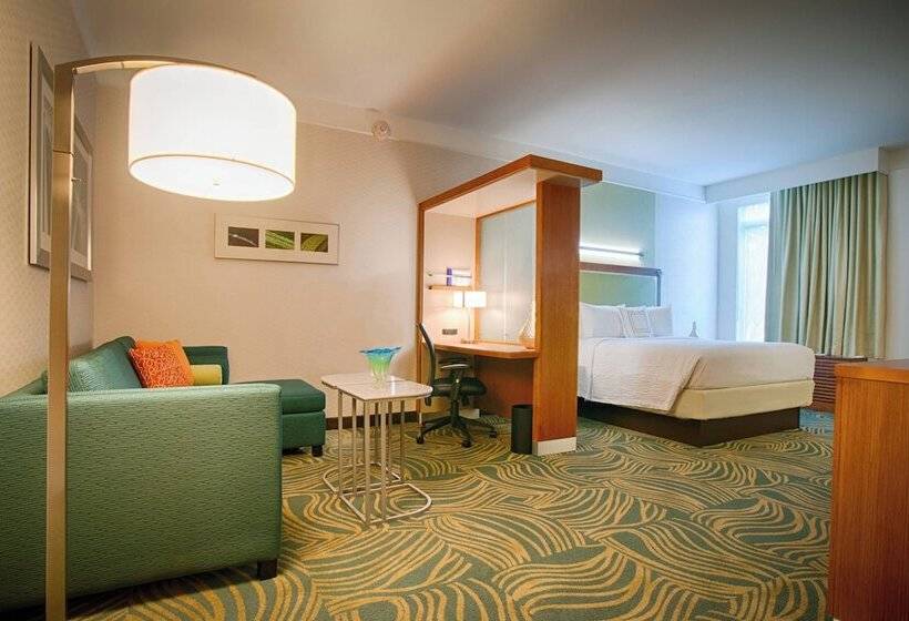 Люкс, Springhill Suites By Marriott Canton