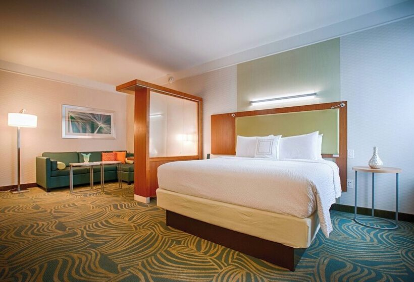 Люкс, Springhill Suites By Marriott Canton