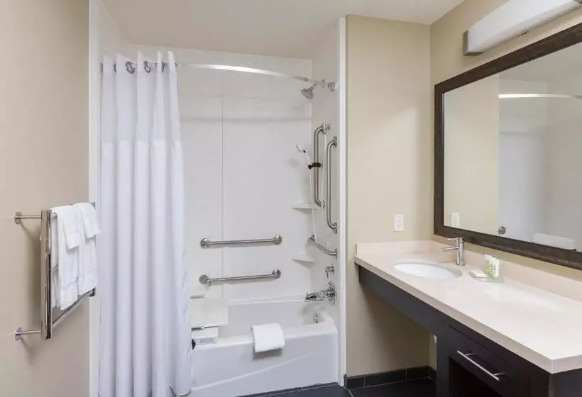 身障者適用スタンダードルーム, Staybridge Suites Canton, An Ihg
