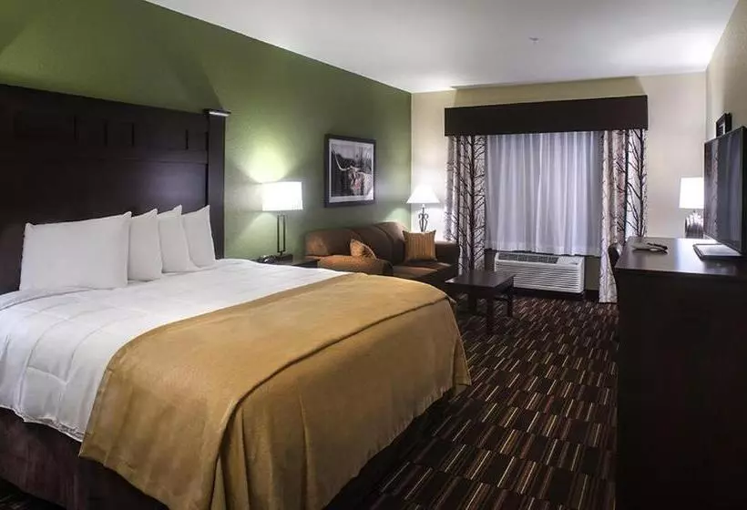 キングサイズベッドのスタンダードルーム, Comfort Inn & Suites
