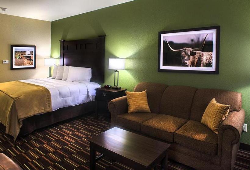חדר סטנדרט עם מיטת קינג, Comfort Inn & Suites