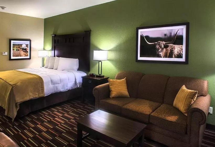 キングサイズベッドのスタンダードルーム, Comfort Inn & Suites