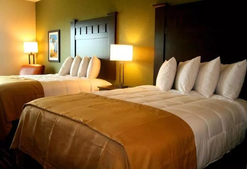 スタンダードルーム, Comfort Inn & Suites
