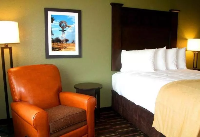 スタンダードルーム, Comfort Inn & Suites