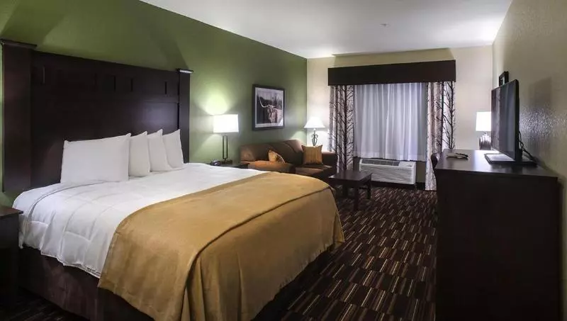 キングサイズベッドのスタンダードルーム, Comfort Inn & Suites