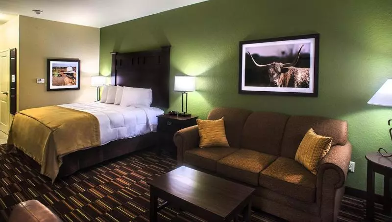 キングサイズベッドのスタンダードルーム, Comfort Inn & Suites
