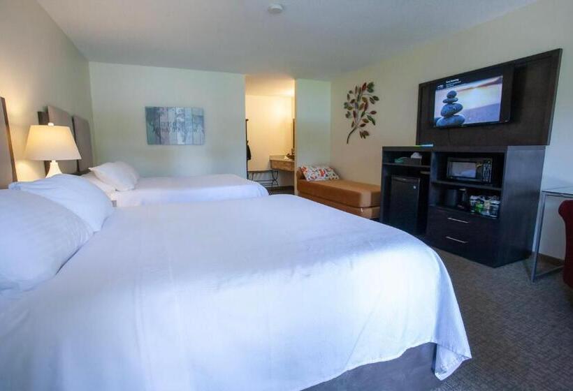 חדר דלוקס, Bavarian Inn, Black Hills