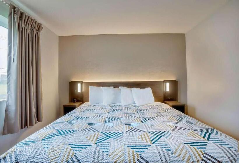 스탠다드 룸 킹사이즈 침대, Motel 6denison, Tx