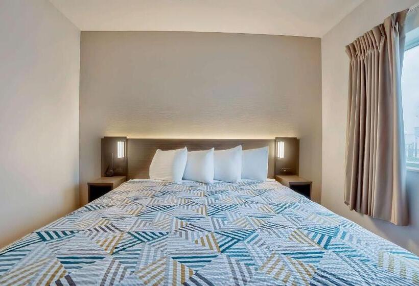 Стандартный Номер Кровать Кинг, Motel 6denison, Tx