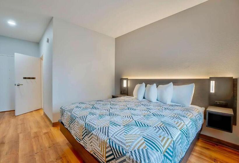 스탠다드 룸 킹사이즈 침대, Motel 6denison, Tx