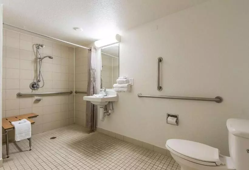 身障者適用スタンダードルーム, Motel 6 Tempe, Az Phoenix Airport Priest Dr