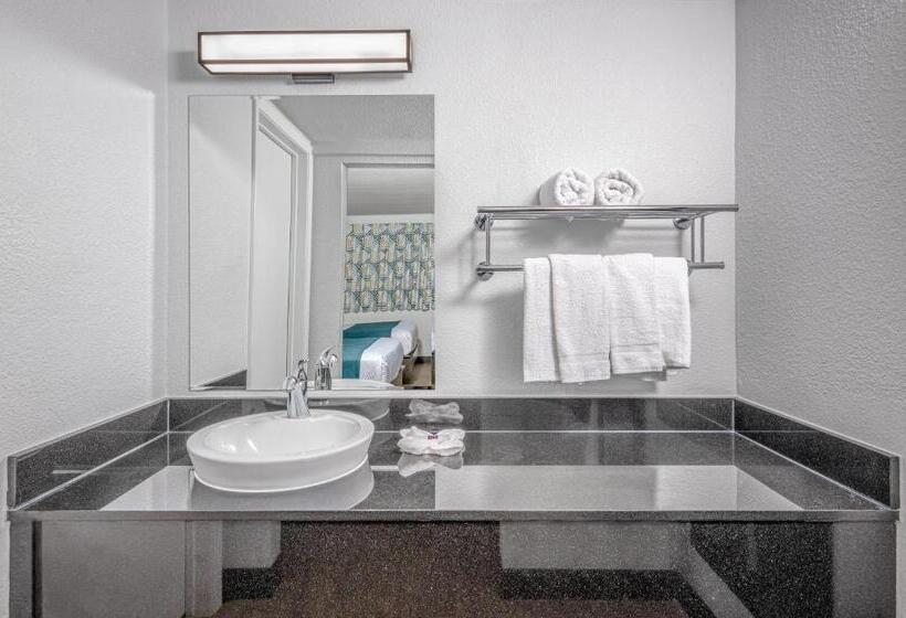 4인용 스탠다드 룸, Motel 6euless, Tx  Dallas