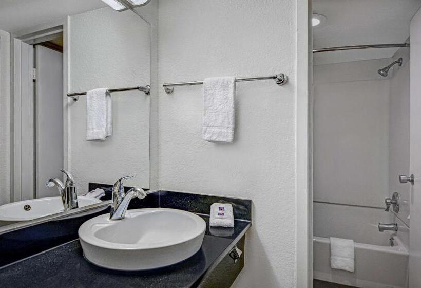 스탠다드 룸 킹사이즈 침대, Motel 6tallahassee, Fl  Downtown