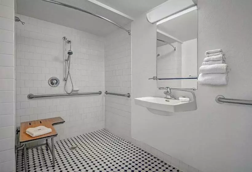 身障者適用スタンダードルーム, Motel 6tallahassee, Fl Downtown