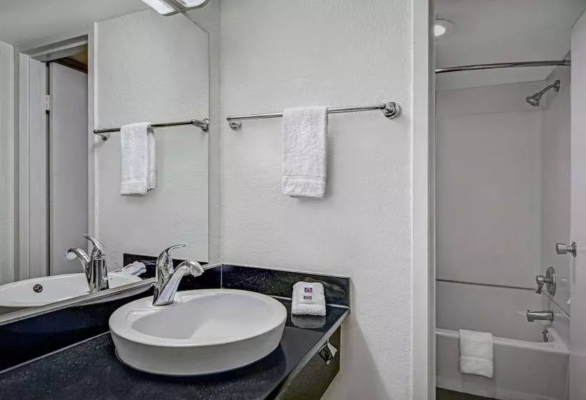 デラックスルーム, Motel 6tallahassee, Fl Downtown