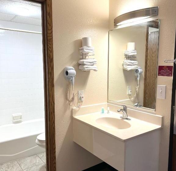 غرفة قياسية سرير كينج, Econo Lodge