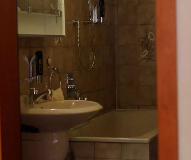 スタンダードシングルルーム, Pohl S Rheinhotel Adler