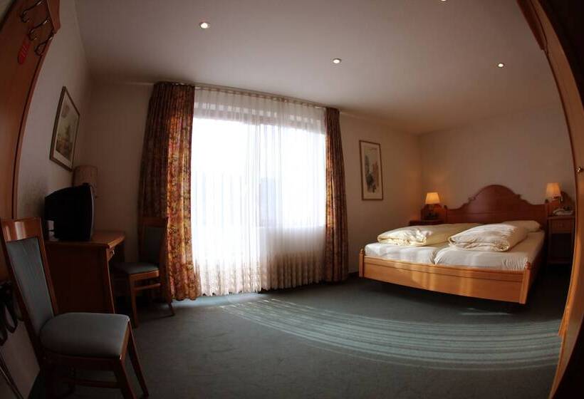 스탠다드 룸, Pohl S Rheinhotel Adler