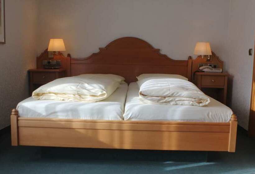 标准间, Pohl S Rheinhotel Adler