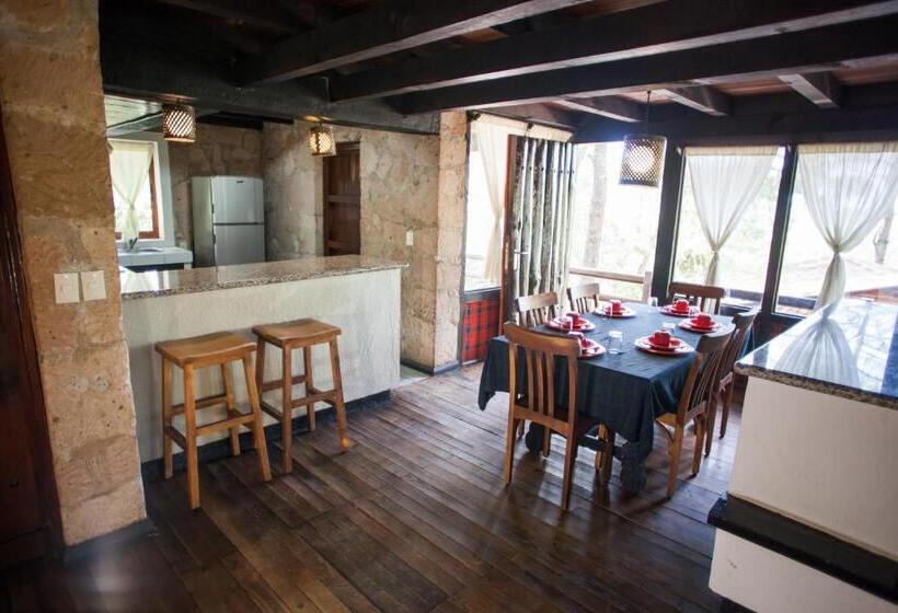 ３ベッドルームスタンダードバンガロー, Monteverde