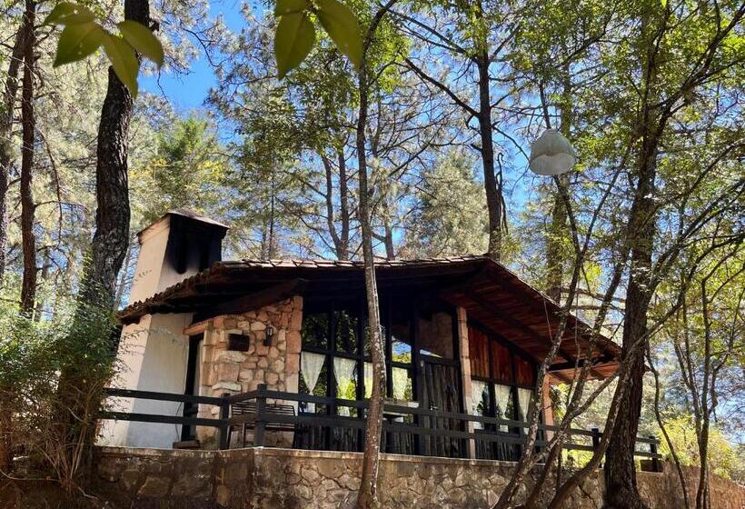 バンガローの２ベッドスタンダードルーム, Monteverde