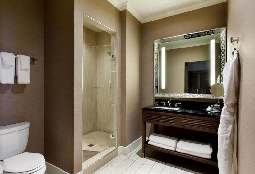 Стандартный Номер Кровать Кинг, Ambassador Hotel Oklahoma City, Autograph Collection
