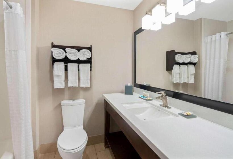 غرفة قياسية سرير كينج, La Quinta By Wyndham Rockport   Fulton