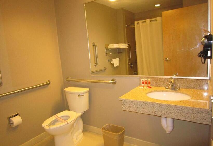 带大床的套房, Red Carpet Inn And Suites Monmouth Junction