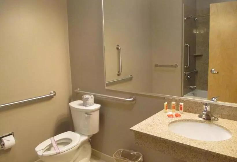 身障者適用キングサイズベッドルーム, Red Carpet Inn And Suites Monmouth Junction