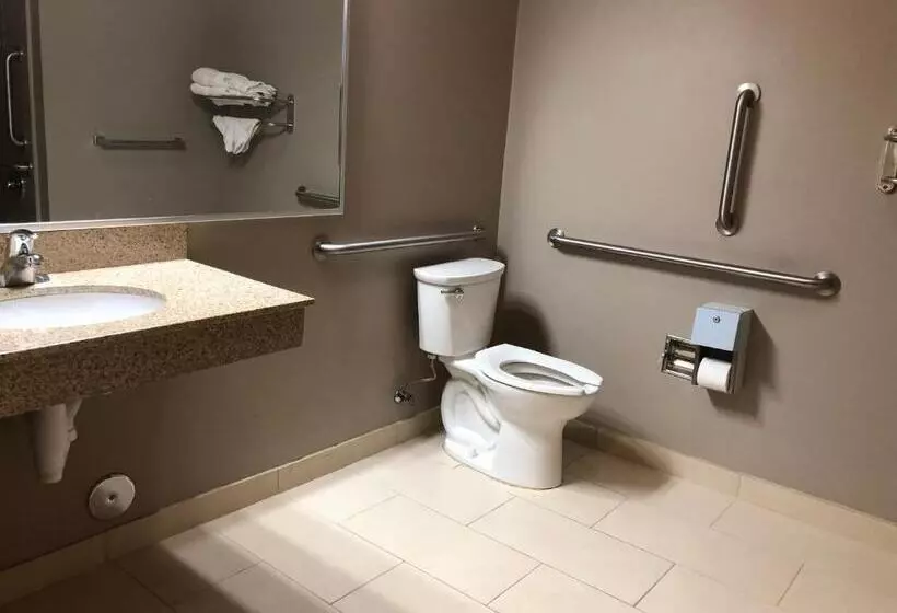 身障者適用キングサイズベッドルーム, Red Carpet Inn And Suites Monmouth Junction