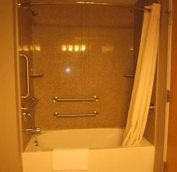 身障者適用キングサイズベッドルーム, Red Carpet Inn And Suites Monmouth Junction