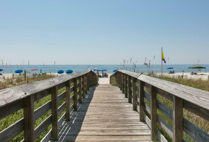 Апартаменты 1 Спальня, Royal Palms #1006