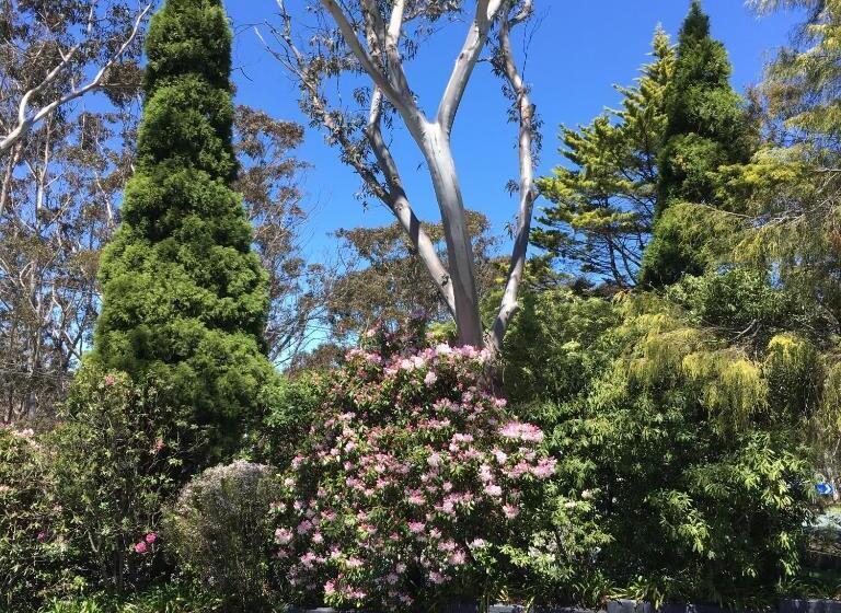 חדר סופריור, Sky Rider Motor Inn