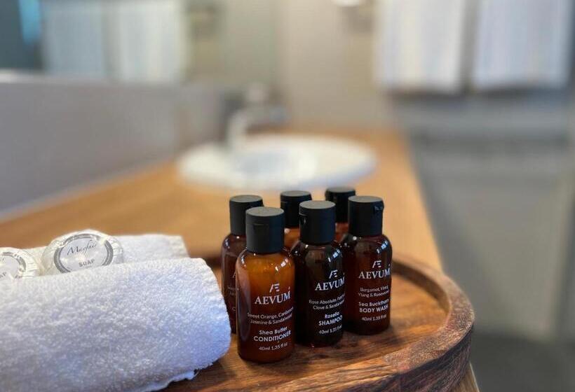 חדר סטנדרט עם מיטת קווין, Summerhill Motor Inn