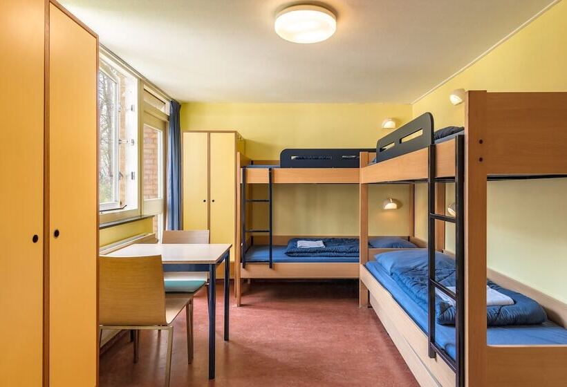 스탠다드 룸 2층 침대, Stayokay Hostel Apeldoorn