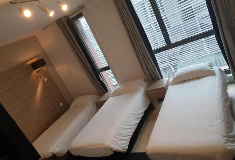 Студия Стандарт, Twenty Business Flats Lille Grand Stade